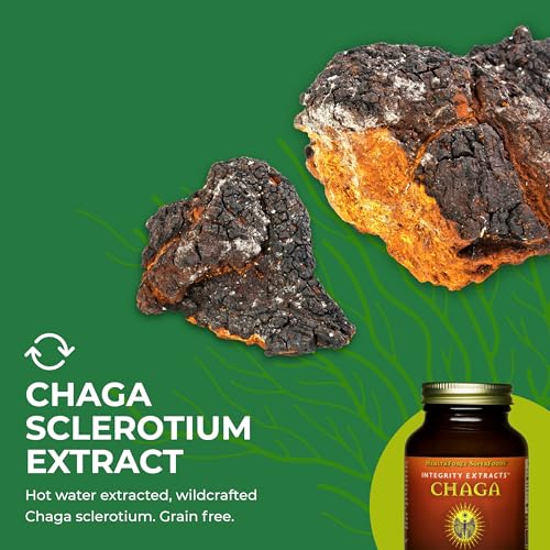 Integrity Extracts Chaga - 70 g Powder