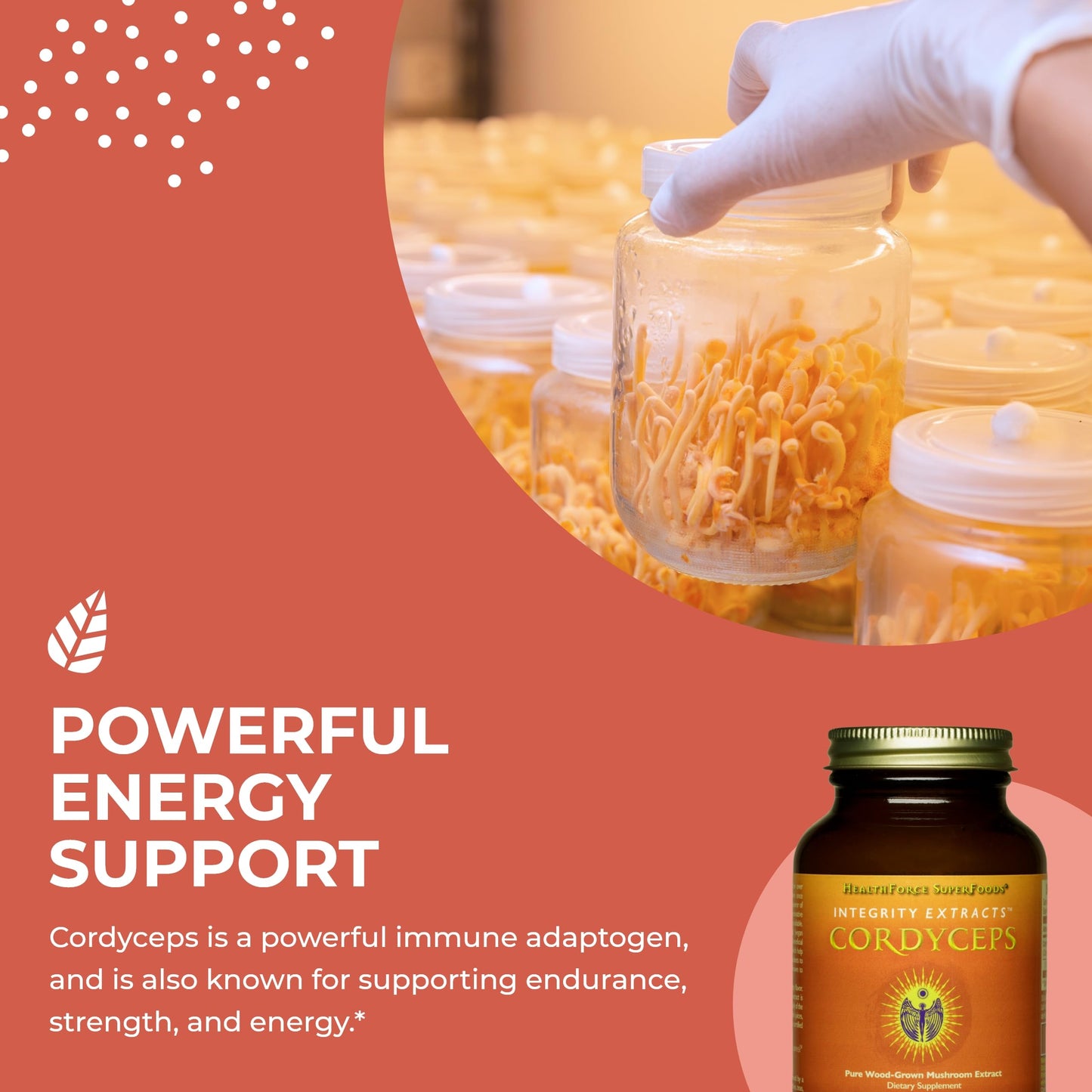 Integrity Extracts Cordyceps - 60 g Powder