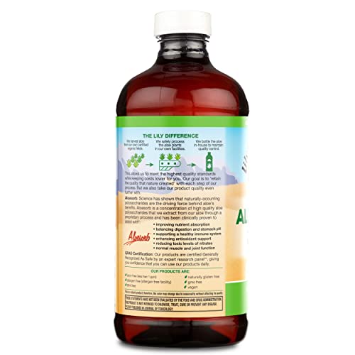Aloe Vera Juice Drink: Inner Fillet - 16 oz