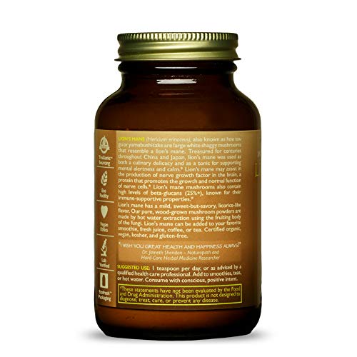 Integrity Extracts Lion's Mane - 60 g Powder