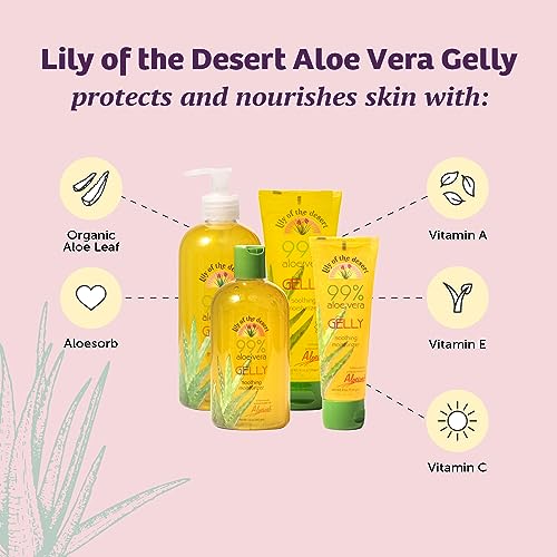 Aloe Vera Gelly Moisturizer - 12 oz