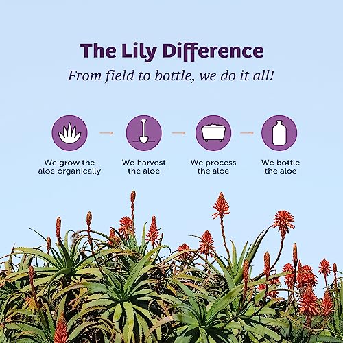 Aloe Vera Juice, Whole Leaf, Preservative Free - 32 oz