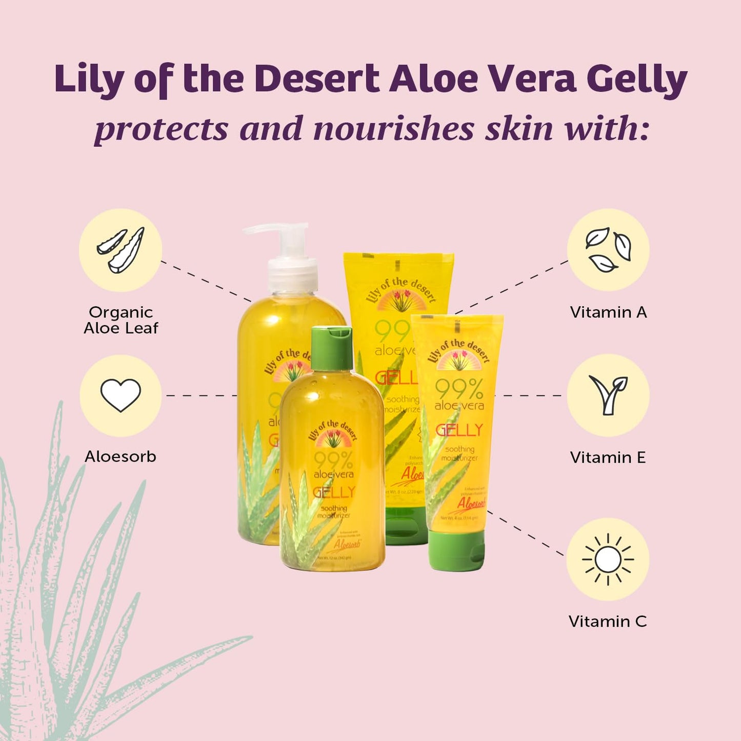 Aloe Vera Gelly Moisturizer - 4 oz