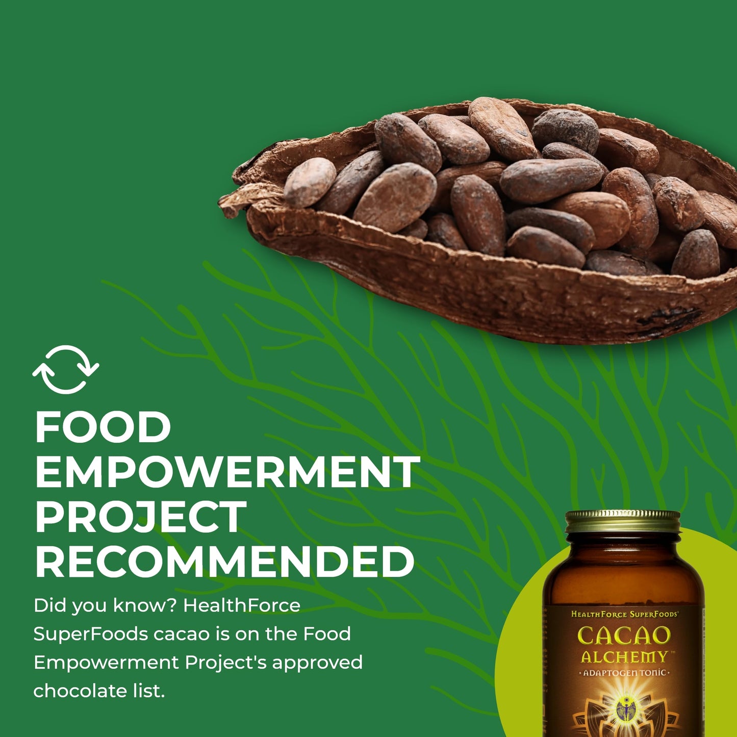 Cacao Alchemy - 150 g