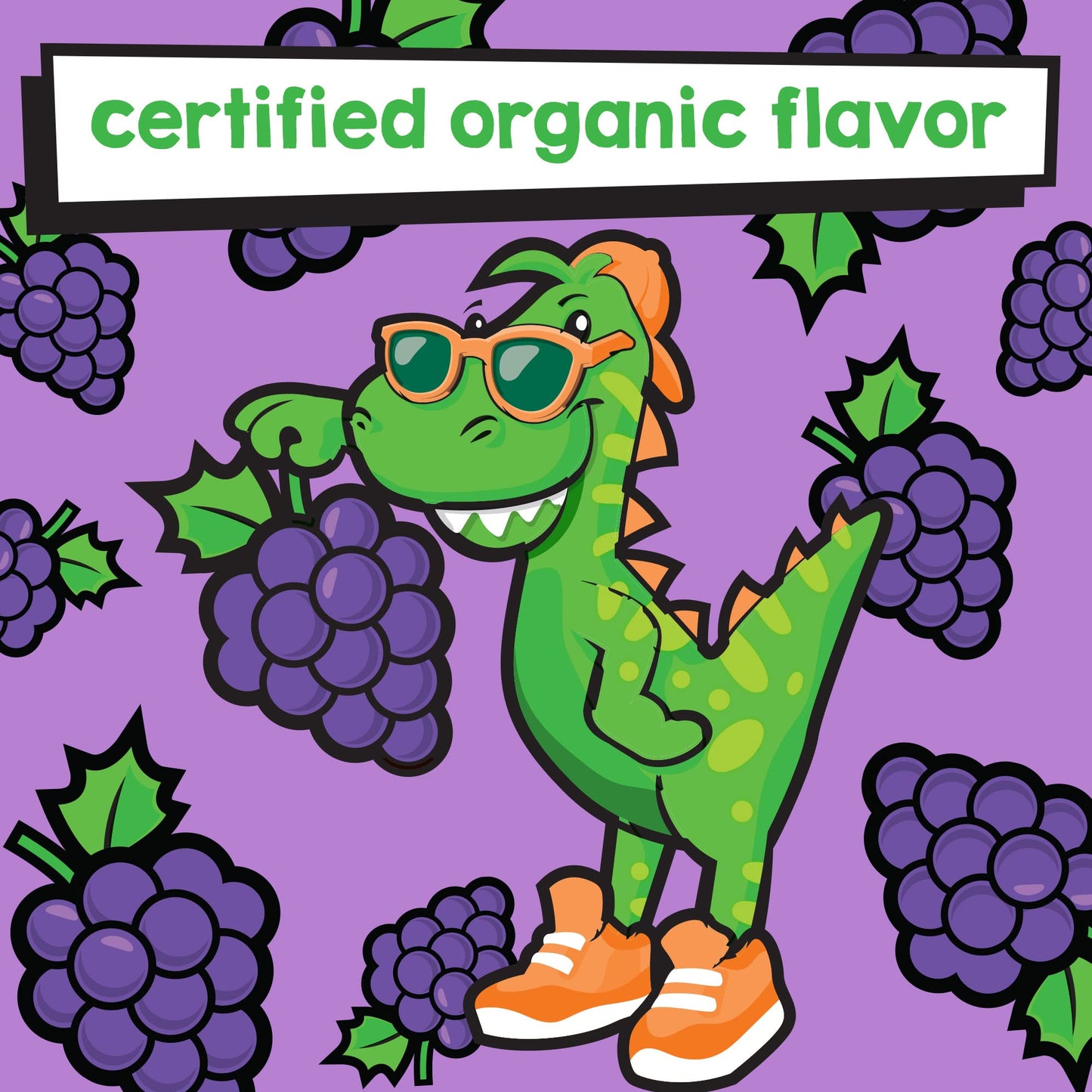 Kids Anti-Cavity Mouthwash, Grapes Galore - 16 oz