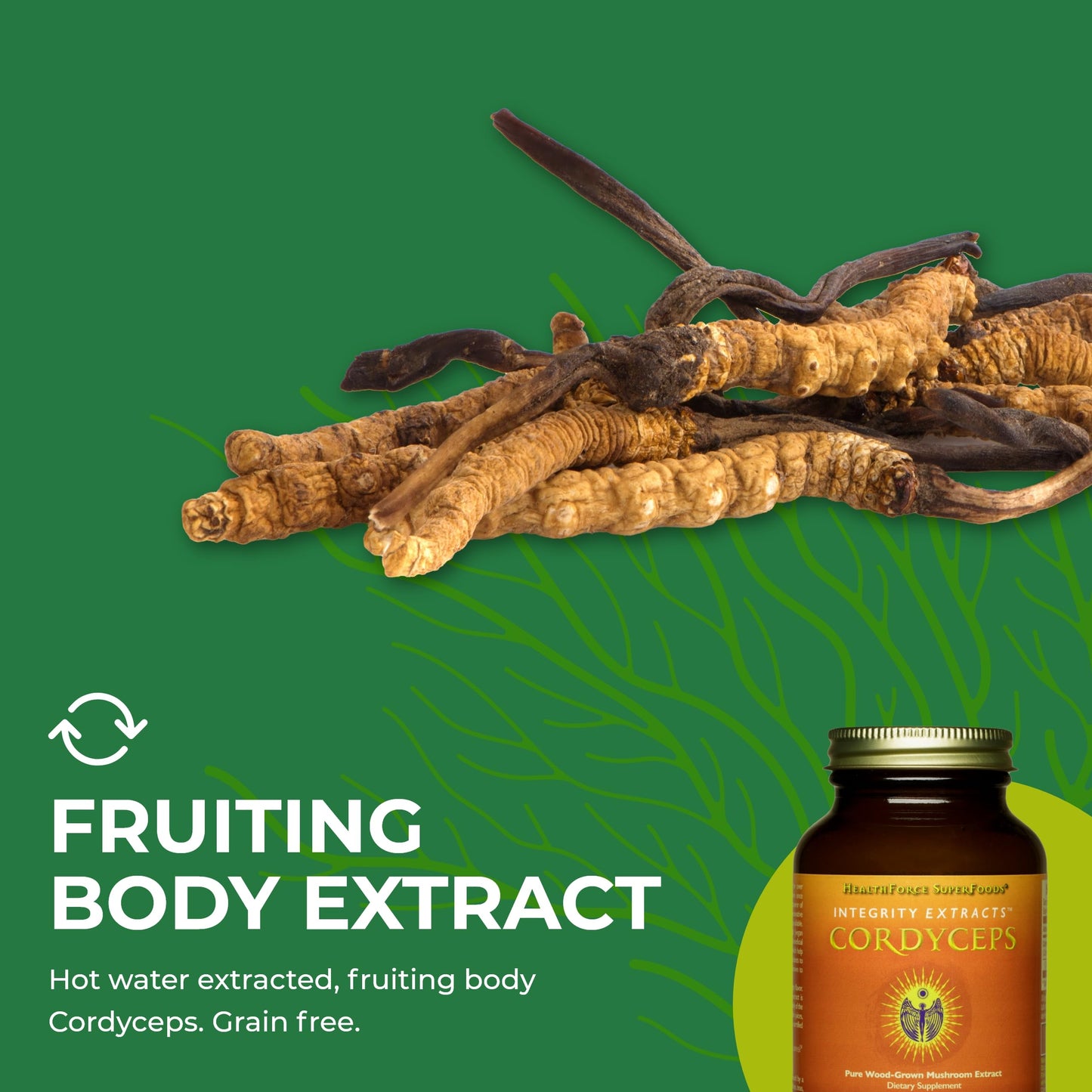 Integrity Extracts Cordyceps - 60 g Powder